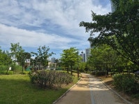 제2용정근린공원 － 풋살장 옆 맨발 걷기 흙길