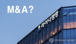 생보업계 대규모 M&A 이어지나…라이나생명도 매각설