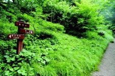 [한국 유산기(32)] 봄내 고을의 오봉산, 삼악산(2)