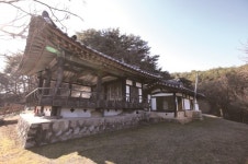 [한국의 보호수-①경상북도편] 안동 임하리 백운정 회화나무(57)