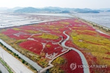 '한국의 갯벌' 유네스코 세계유산 등재...