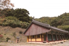 [한국의 보호수-①경상북도편] 영주 덕현리 성혈사 반송(90)