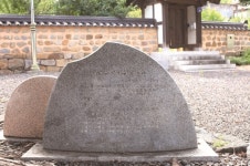[한국의 보호수-①경상북도편] 영천 호남리 느티나무(108)