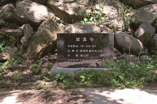 [한국의 보호수-①경상북도편] 상주 용유리 뽕나무(124)
