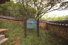 [한국의 보호수-①경상북도편] 상주 효곡리 효곡재사 배롱나무(136)