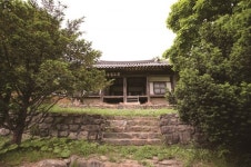 [한국의 보호수-①경상북도편] 상주 효곡리 효곡재사 배롱나무(136)