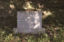 [한국의 보호수-①경상북도편] 의성 도덕리 느티나무(174)