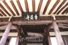 [한국의 보호수-①경상북도편] 의성 용연리 향나무(182)