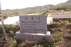 [한국의 보호수-①경상북도편] 의성 화신리 느티나무(188)