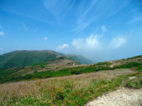 [한국 유산기(46)] 진리를 따라 걷는 영축산(2)