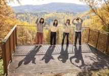 속살 드러낸 비밀의 숲...황금빛으로 물든 에버랜드 은행나무숲