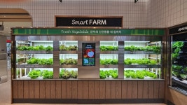 대형마트가 스마트팜으로 장마철 대비하는 법