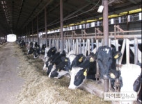 ‘농산물꾸러미’에도 우유 제외…“日 정부 코로나 낙농대책 ‘타산지석’ 삼아야”