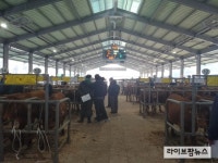 축평원 대구경북, 가축시장 가축거래이력정보 지도·점검