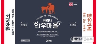 “불황 이겨내려면 한우 번식우 숨겨진 가치를 찾아라”