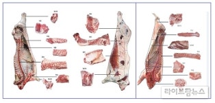 한우 한마리에서 273kg·돼지 62.47kg 살코기 얻는다