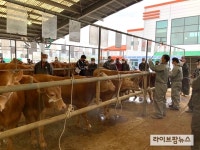 축평원 대전충남, 가축시장 축산물이력제 이행실태 점검