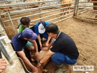 농협경제지주, 축산컨설턴트 단체상해보험 가입·갱신 지원