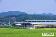 세종시 기림목장, 동물복지 농가 인증 획득