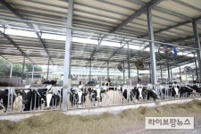 농진청 “이른 더위, 축사 환경시설 지금 점검할때”