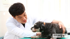 5일부터 동물병원 수술 등 중대진료 전 서면동의 의무 시행