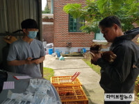 산란계 중추농장, 바이오칼슘 사양시험 결과 우수