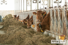 축산과학원·기술선도 농가, 한우 산업 위기 극복 힘 모은다