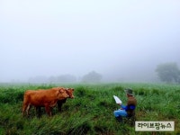 검역본부, ‘제16회 동물사랑 사진 공모전’ 수상작 발표
