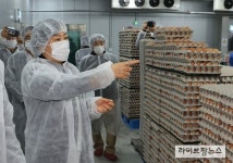 지능형 산란농장, 축산업의 혁신 이끌다