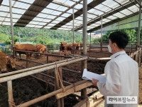 축평원 대전충남지원, 고령우 출하 컨설팅 실시
