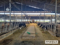국내 첫 저탄소 돼지·젖소 인증 농장 68호 탄생
