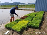 강화군, 농가 지원으로 명품 강화섬쌀 이끈다