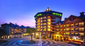 알펜시아 리조트, 여름 맞아 대변신! 자연 속 셀프 BBQ로 미식가 유혹