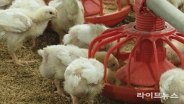 정부 합동 축사 일제점검…“방역 사각지대 해소·재해예방”