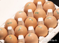 고병원성 AI 확산으로 계란 수급 비상…신선란 추가 수입