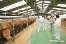 농진청, 맞춤형 전문 상담으로 한우 번식 효율 높인다