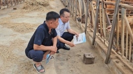 올여름 폭염 예상, 한우에 충분한 미네랄과 비타민 급여하면 더위 극복 도움