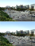 확 달라진 연세대 앞 횡단보도...대각선으로 사통팔달 건너갈 수 있어