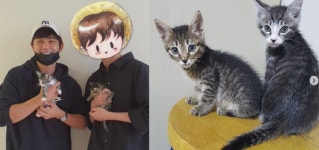 유승호, 갑수목장 동물학대 논란에 입양 반려묘 고미·도리 이름 변경→심바·가을이