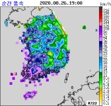 8호 태풍 바비 오후 7시 전남 목포 180㎞ 해상까지 북상...가거도 최대순간풍속 초속 43.4m
