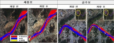 금강 세종·공주보 완전개방 3년...모래톱과 생물 서식처 형성 등 생태계 개선효과 뚜렷