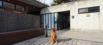 서울 남산공원 야외식물원과 용산가족공원 화장실 앞 반려동물 목줄 거치대 설치
