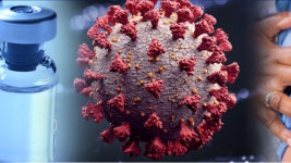 코로나19 확진자 4명중 1명 변이바이러스...해외발 변이 막아라 방역당국 비상