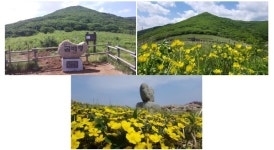 천상의 화원 점봉산 곰배령...미래세대 위해 지역주민과 함께 보호해야