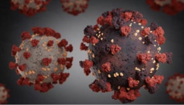 국내 뮤 변이 바이러스 확진자 확인