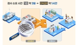 내년부터 수산물 유통길목에서 선제적으로 안전관리 나선다
