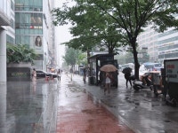 [기상청 속보] 수도권 시간당 30㎜ 안팍 폭우 ... 강풍주의보·풍랑주의보·호우경보·호우주의보 발령