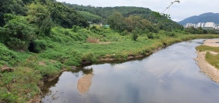 울산 북구, 최우수 사업 선정 행정타운 숲길 조성