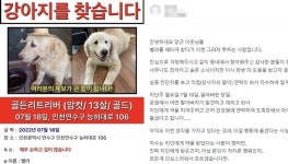 “13년간 키운 강아지가 건강원 약재로... 미쳐 죽을 것 같다”