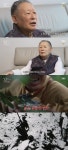 꼬리에 꼬리를 무는 그날 이야기 78년간 타지에 묻혀있던 시신의 사연은